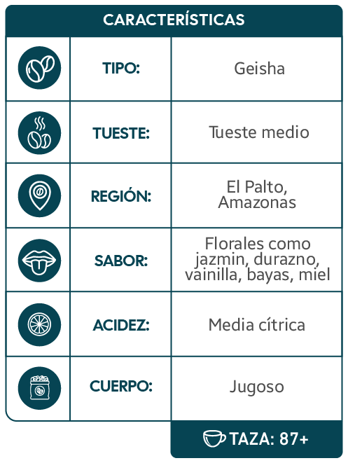 Características del producto